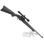 Ruger 10/22 Air Rifle .177 Caliber Pellet Co2 Powered