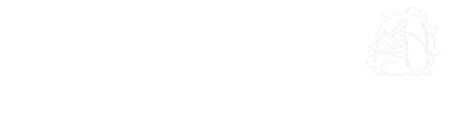 Airsoft Guns USA
